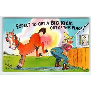 Expect to Get a Big Kick Out of This Place! Linen Postcard Horse Kicks Cowboy